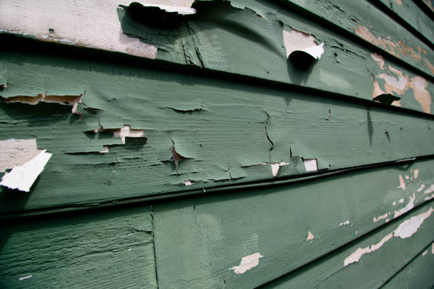 Best Residential Junk Removal  in Eminence, KY